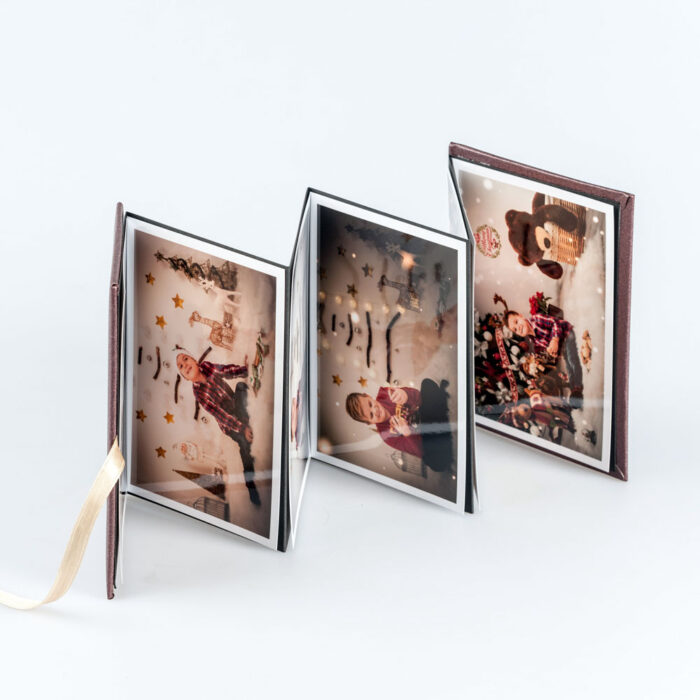 Acordeon Foto 9 poze 10x15 - imagine 3