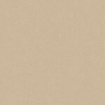 Contracopertă carton beige – album digital FotoVmag